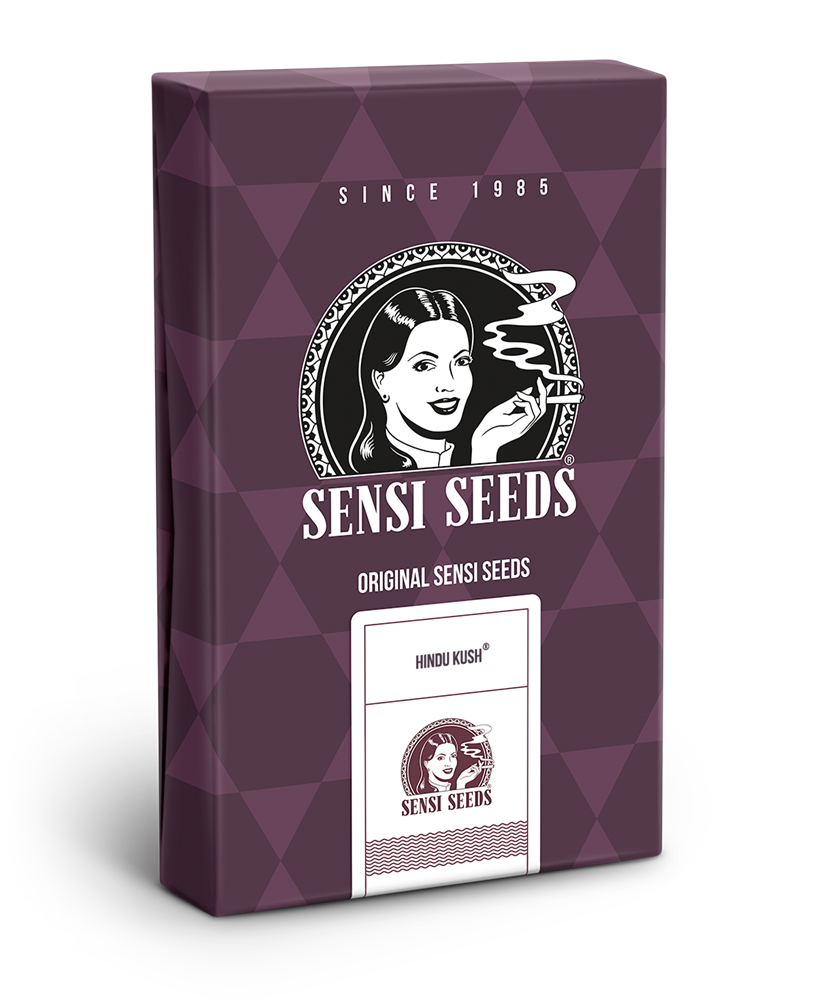 Hindu Kush Feminised Cannabis Seeds