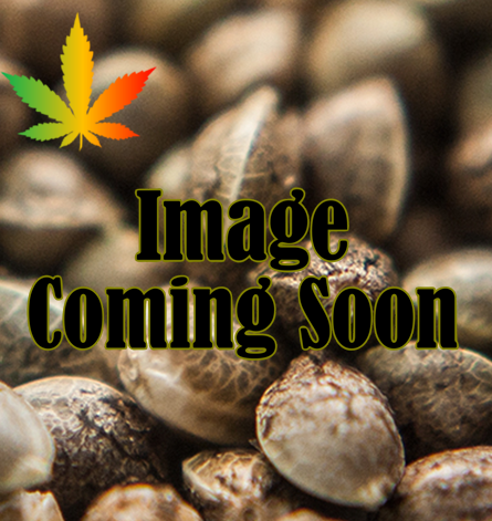 Image coming soon text over cannabis seeds