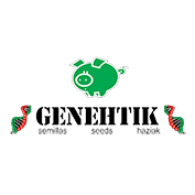 Genehtik cannabis seedbank