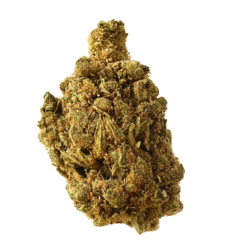 Blue Amnesia Auto Feminised Seeds