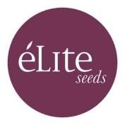 Elite Seeds