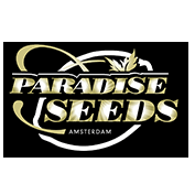 paradise Seeds