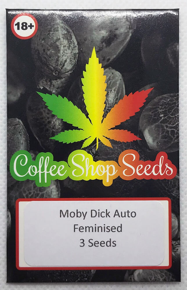 Moby Dick Auto