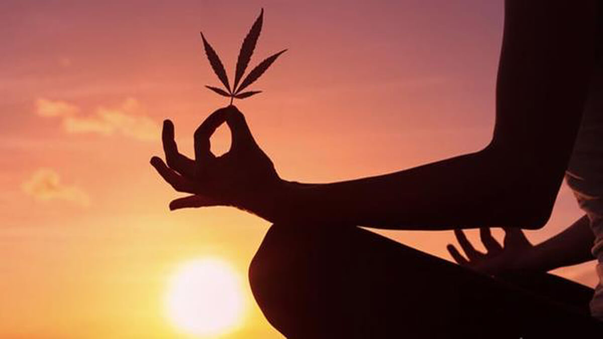 Cannabis Strains for Meditation