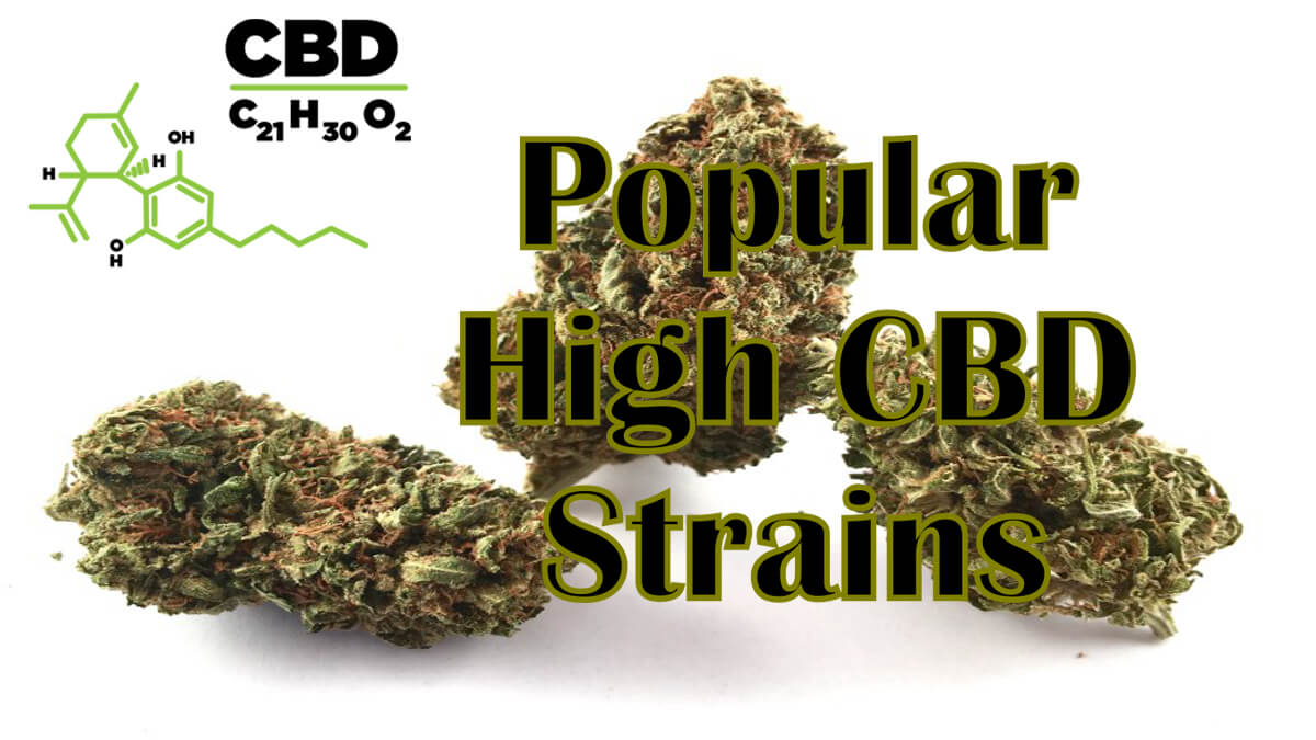 3 Popular High CBD Strains