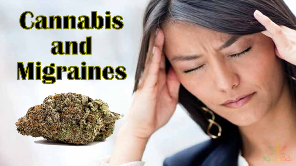 Cannabis and Migraines – Things to Know from Recent Research