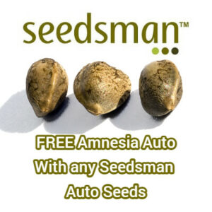 Seedsman - FREE Amnesia Auto