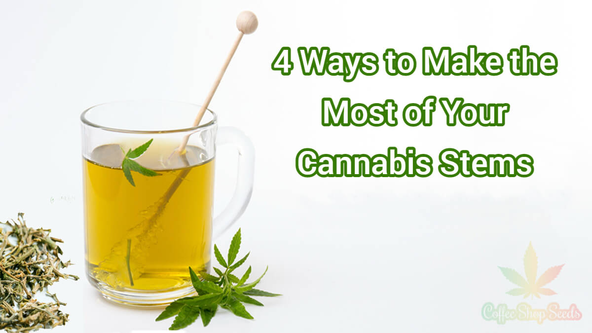 4 Ways to Make the Most of Your Cannabis Stems