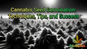 A Comprehensive Guide to Cannabis Seed Germination: Techniques, Tips, and Success